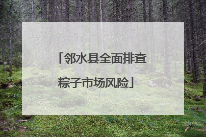 邻水县全面排查粽子市场风险