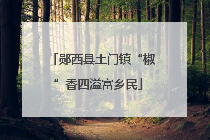 郧西县土门镇“椒”香四溢富乡民