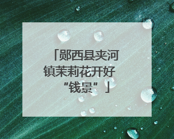 郧西县夹河镇茉莉花开好“钱景”