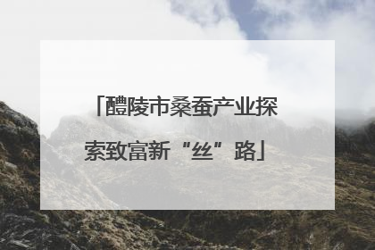 醴陵市桑蚕产业探索致富新“丝”路
