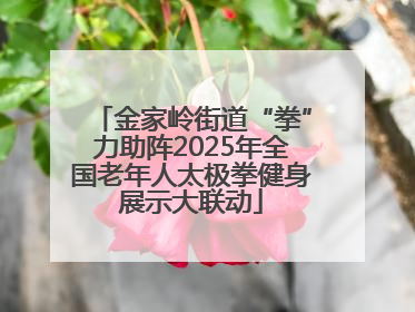 金家岭街道“拳”力助阵2025年全国老年人太极拳健身展示大联动