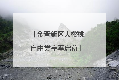 金普新区大樱桃自由尝享季启幕