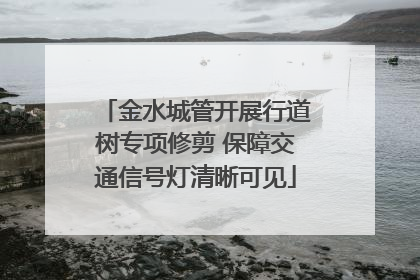 金水城管开展行道树专项修剪 保障交通信号灯清晰可见