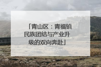 青山区：青福镇民族团结与产业升级的双向奔赴
