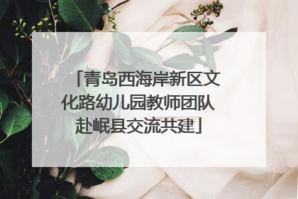 青岛西海岸新区文化路幼儿园教师团队赴岷县交流共建
