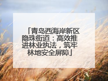 青岛西海岸新区隐珠街道：高效推进林业执法，筑牢林地安全屏障