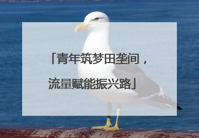 青年筑梦田垄间，流量赋能振兴路