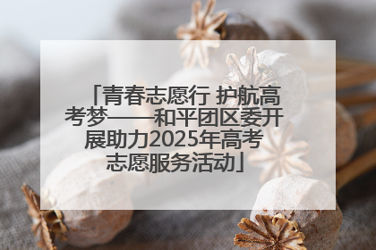 青春志愿行 护航高考梦——和平团区委开展助力2025年高考志愿服务活动