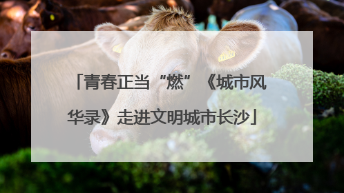青春正当“燃”《城市风华录》走进文明城市长沙