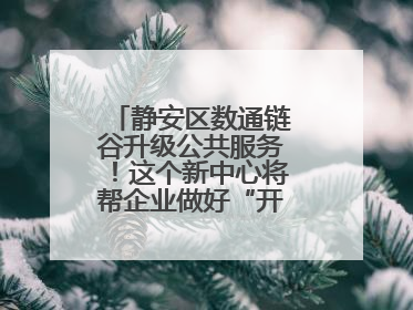 静安区数通链谷升级公共服务！这个新中心将帮企业做好“开门四件事”