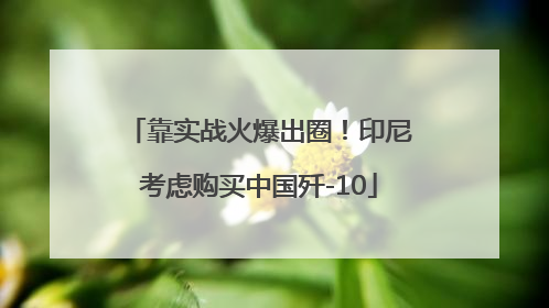 靠实战火爆出圈！印尼考虑购买中国歼-10