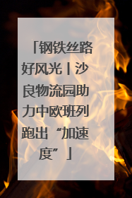钢铁丝路好风光丨沙良物流园助力中欧班列跑出“加速度”
