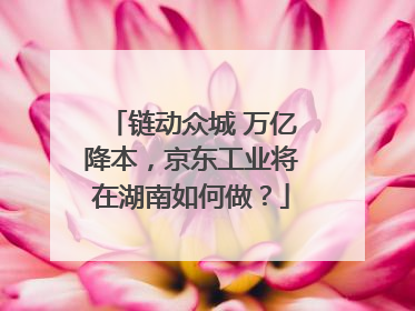 链动众城 万亿降本，京东工业将在湖南如何做？