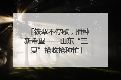 铁犁不停歇，播种新希望——山东“三夏”抢收抢种忙