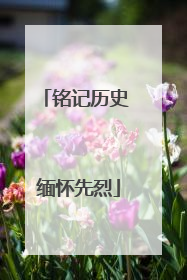 铭记历史 缅怀先烈