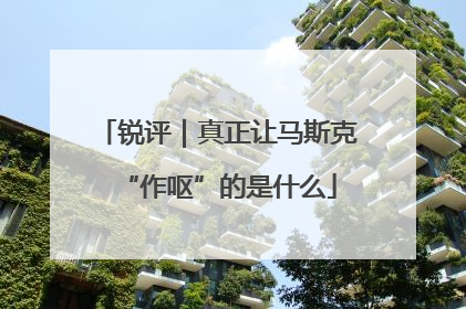 锐评｜真正让马斯克“作呕”的是什么