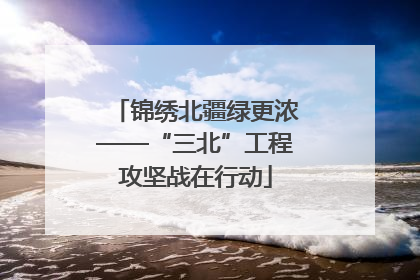 锦绣北疆绿更浓——“三北”工程攻坚战在行动