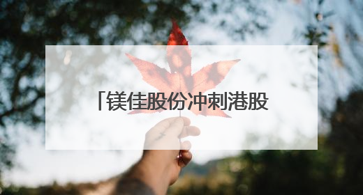 镁佳股份冲刺港股IPO！公司估值67亿，创始人曾任蔚来汽车副总裁