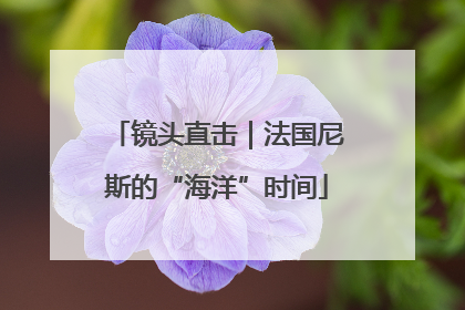 镜头直击｜法国尼斯的“海洋”时间