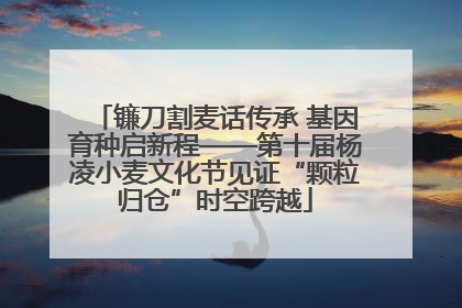 镰刀割麦话传承 基因育种启新程——第十届杨凌小麦文化节见证“颗粒归仓”时空跨越