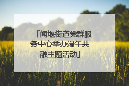闻堰街道党群服务中心举办端午共融主题活动