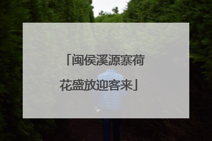 闽侯溪源寨荷花盛放迎客来