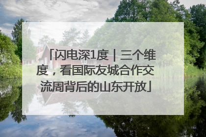 闪电深1度｜三个维度，看国际友城合作交流周背后的山东开放