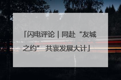 闪电评论｜同赴“友城之约” 共襄发展大计