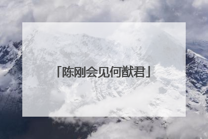 陈刚会见何猷君