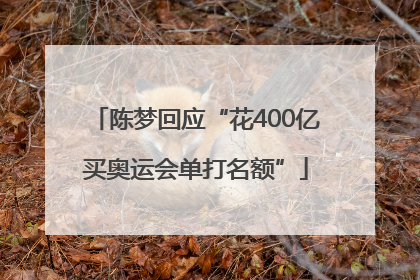 陈梦回应“花400亿买奥运会单打名额”