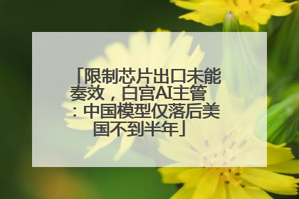限制芯片出口未能奏效，白宫AI主管：中国模型仅落后美国不到半年