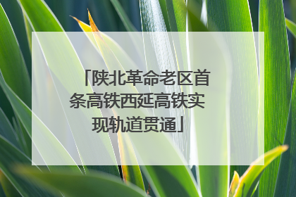 陕北革命老区首条高铁西延高铁实现轨道贯通