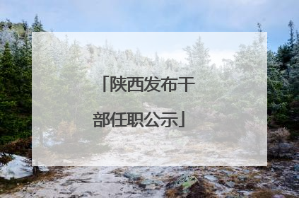 陕西发布干部任职公示