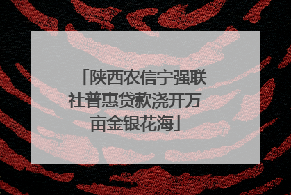 陕西农信宁强联社普惠贷款浇开万亩金银花海