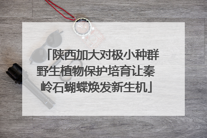 陕西加大对极小种群野生植物保护培育让秦岭石蝴蝶焕发新生机