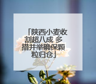 陕西小麦收割超八成 多措并举确保颗粒归仓