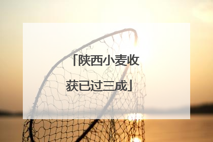 陕西小麦收获已过三成