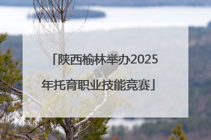 陕西榆林举办2025年托育职业技能竞赛