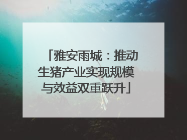 雅安雨城：推动生猪产业实现规模与效益双重跃升