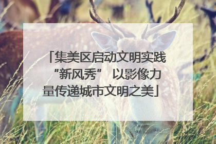 集美区启动文明实践“新风秀” 以影像力量传递城市文明之美