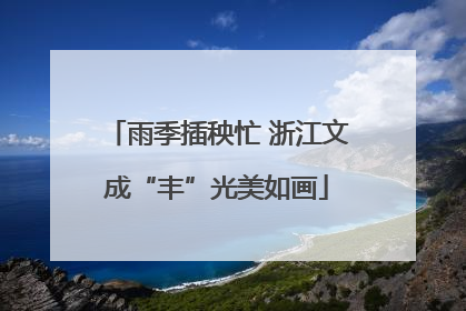 雨季插秧忙 浙江文成“丰”光美如画