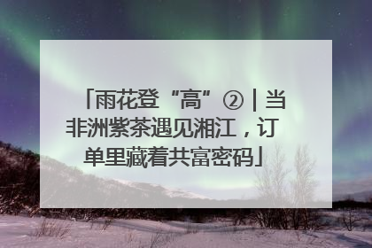 雨花登“高”②｜当非洲紫茶遇见湘江，订单里藏着共富密码