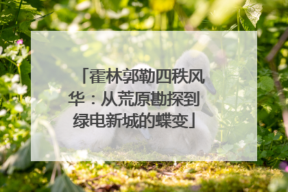 霍林郭勒四秩风华：从荒原勘探到绿电新城的蝶变