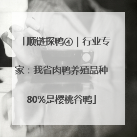 顺链探鸭④｜行业专家：我省肉鸭养殖品种80%是樱桃谷鸭