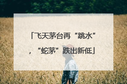 飞天茅台再“跳水”，“蛇茅”跌出新低