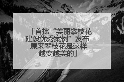 首批“美丽攀枝花建设优秀案例”发布 原来攀枝花是这样越变越美的