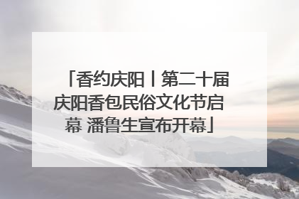 香约庆阳丨第二十届庆阳香包民俗文化节启幕 潘鲁生宣布开幕