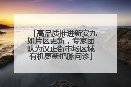高品质推进新安九如片区更新，专家团队为汉正街市场区域有机更新把脉问诊
