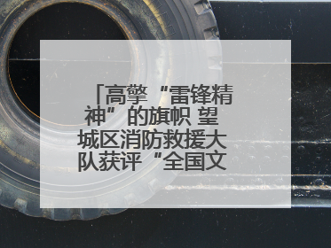 高擎“雷锋精神”的旗帜 望城区消防救援大队获评“全国文明单位”称号