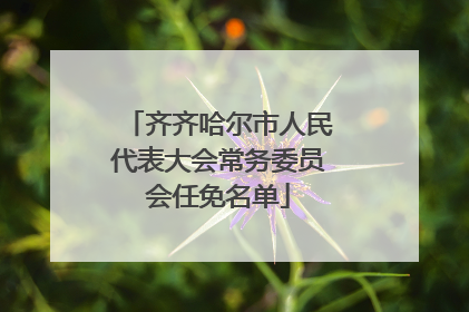 齐齐哈尔市人民代表大会常务委员会任免名单